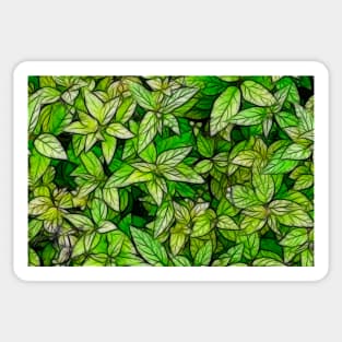 Plant Texture Sticker